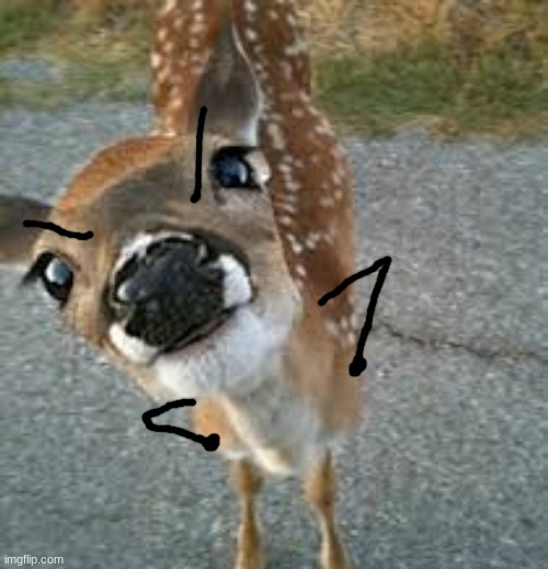 AsherCore: | image tagged in ashercore | made w/ Imgflip meme maker