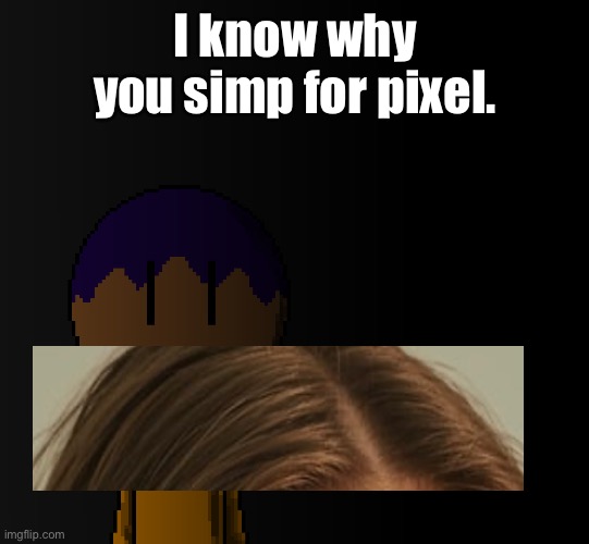 This is her hair, and the photo was took 5 years ago | I know why you simp for pixel. | image tagged in brother | made w/ Imgflip meme maker