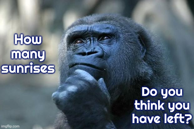 No Matter What Your Age, Health Or Situation ... The Answer Is ... Not Enough | How many sunrises; Do you think you have left? | image tagged in deep thoughts,life is short,wasting time,live laugh love,be helpful,memes | made w/ Imgflip meme maker