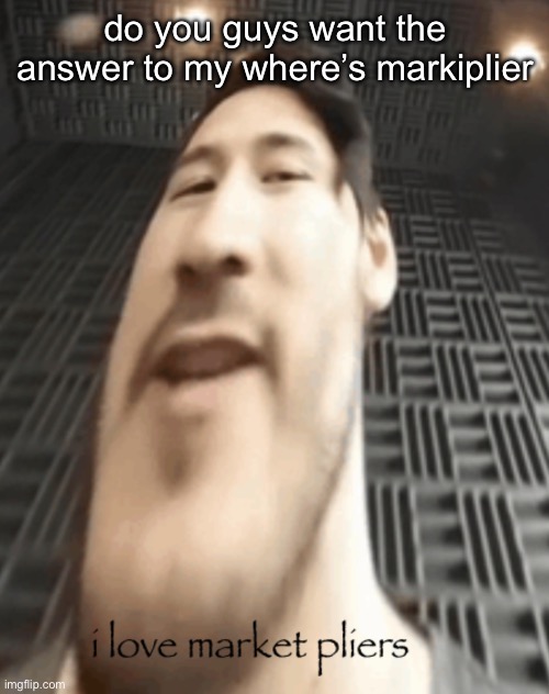 market pliers | do you guys want the answer to my where’s markiplier | image tagged in market pliers | made w/ Imgflip meme maker