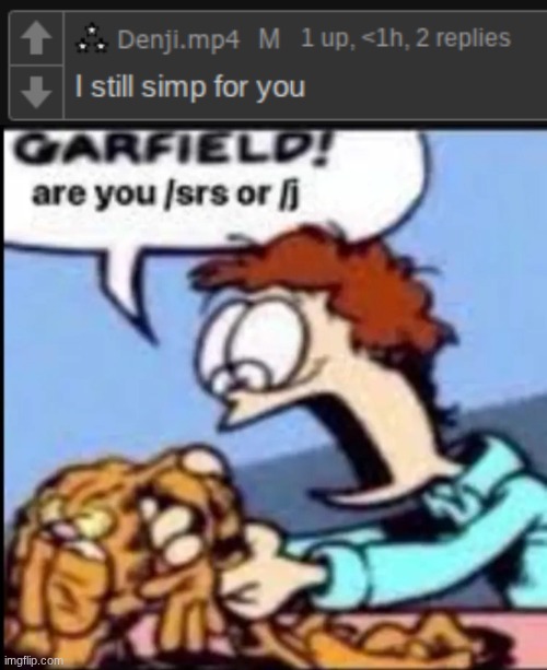 image tagged in garfield are you /srs or /j | made w/ Imgflip meme maker