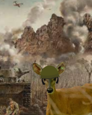 1000 deer stare Blank Meme Template