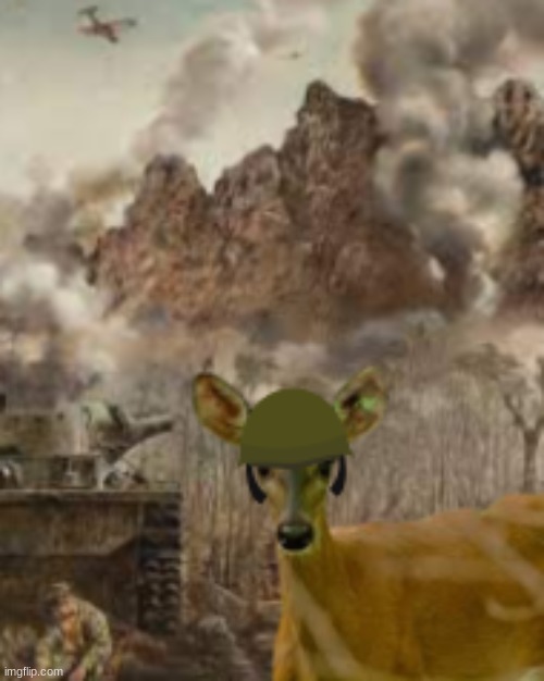 moons is 23...? | image tagged in 1000 deer stare | made w/ Imgflip meme maker