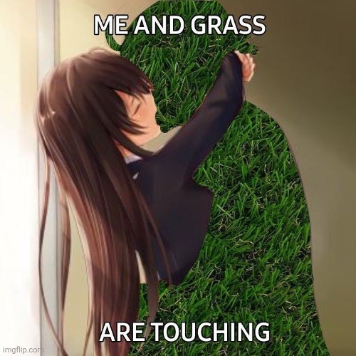 Me and grass are touching | image tagged in me and grass are touching | made w/ Imgflip meme maker