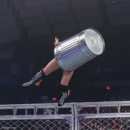 japanese wrestling has some random moments 2 | image tagged in japan,japanese,wrestling,pro wrestling,trash can | made w/ Imgflip meme maker