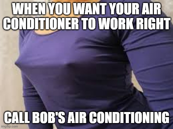 When you want your air conditioner to work right, call Bob's Air Conditioning. | WHEN YOU WANT YOUR AIR CONDITIONER TO WORK RIGHT; CALL BOB'S AIR CONDITIONING | image tagged in funny,sexy woman,humor,air conditioner,play on words | made w/ Imgflip meme maker