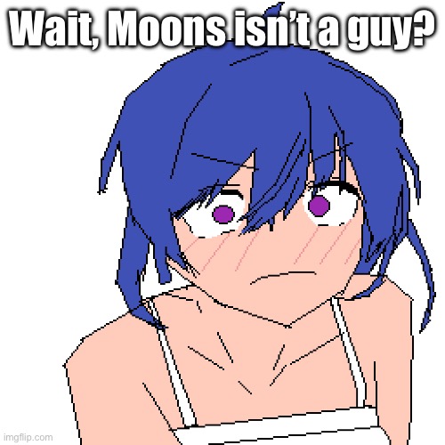 Didn’t they say they were a femboy | Wait, Moons isn’t a guy? | image tagged in what | made w/ Imgflip meme maker