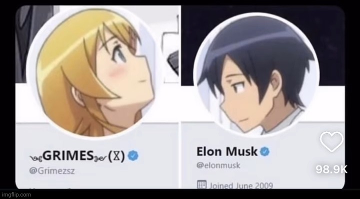 Elon musk and his wife once had matching anime pfps on twitter | made w/ Imgflip meme maker