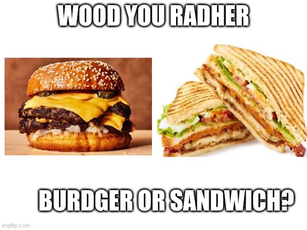 Wood you radher burdger or sandwich? | WOOD YOU RADHER; BURDGER OR SANDWICH? | image tagged in funny,would you rather | made w/ Imgflip meme maker