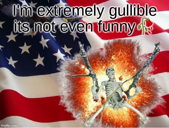 AMERICA!!!!!!!!!!!!!!!!!!!!!!!!!! | I'm extremely gullible its not even funny🥀 | image tagged in america | made w/ Imgflip meme maker
