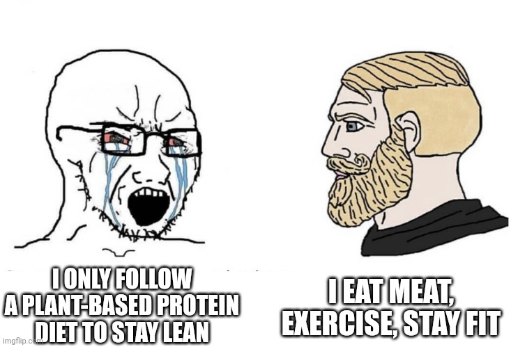 Soyboy Vs Yes Chad | I EAT MEAT, EXERCISE, STAY FIT; I ONLY FOLLOW A PLANT-BASED PROTEIN DIET TO STAY LEAN | image tagged in soyboy vs yes chad | made w/ Imgflip meme maker