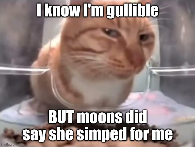 I should just probably stop posting these cause it just leads to awkwardness | I know I'm gullible; BUT moons did say she simped for me | image tagged in suspicious cat eating | made w/ Imgflip meme maker