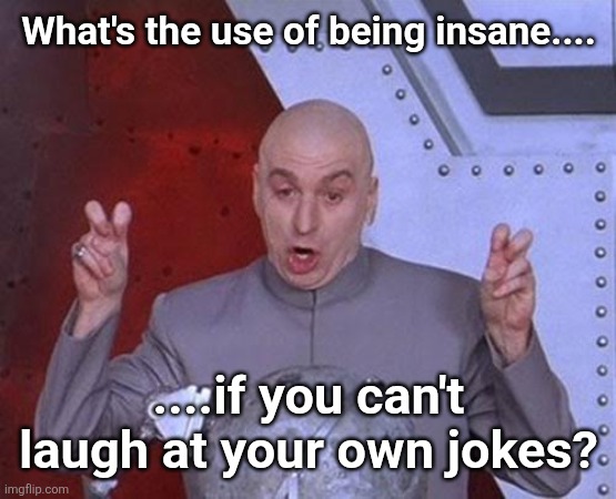 Sanity is Optional | What's the use of being insane.... ....if you can't laugh at your own jokes? | image tagged in memes,dr evil laser | made w/ Imgflip meme maker