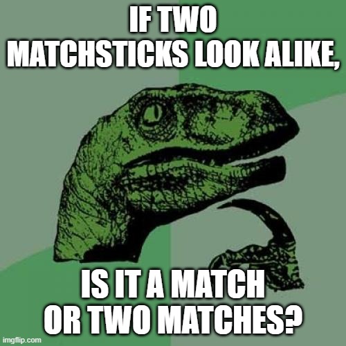 Huh, never thought about it that way. | IF TWO MATCHSTICKS LOOK ALIKE, IS IT A MATCH OR TWO MATCHES? | image tagged in memes,philosoraptor,matches,shower thoughts,good question,pun | made w/ Imgflip meme maker
