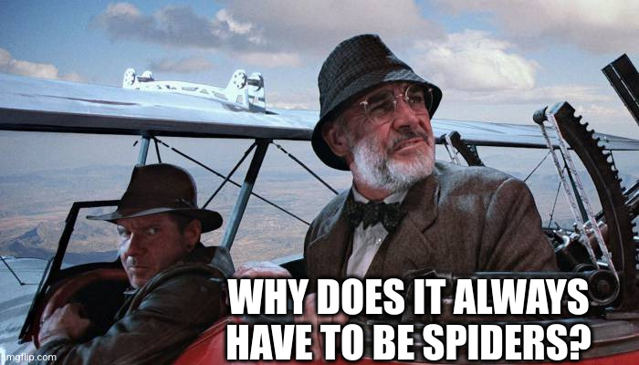 Sean Connery Airplane | WHY DOES IT ALWAYS HAVE TO BE SPIDERS? | image tagged in sean connery airplane | made w/ Imgflip meme maker
