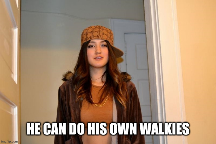 Scumbag Stephanie  | HE CAN DO HIS OWN WALKIES | image tagged in scumbag stephanie | made w/ Imgflip meme maker