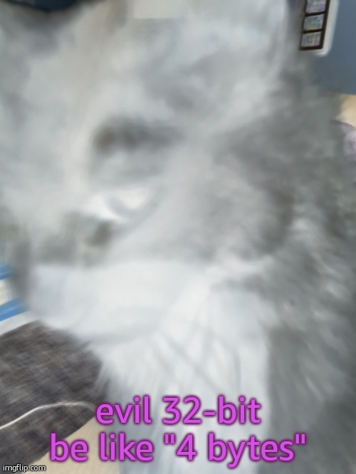 32's Cat | evil 32-bit be like "4 bytes" | image tagged in 32's cat | made w/ Imgflip meme maker