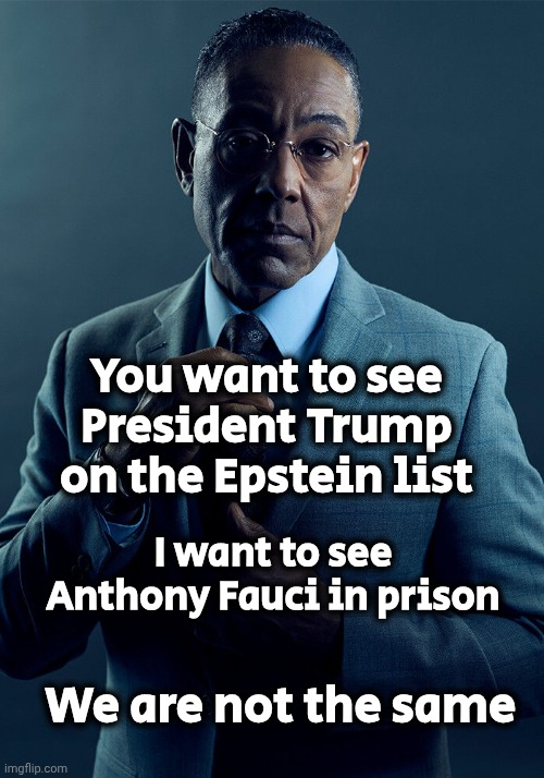 The One That Tried To Kill Us | You want to see President Trump on the Epstein list; I want to see Anthony Fauci in prison; We are not the same | image tagged in gus fring we are not the same,covid-19,thanks democrats,just to win an election,plannedemic,dr fauci | made w/ Imgflip meme maker