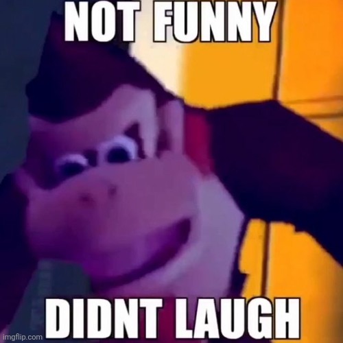 Not funny DIDINT LAUGH | image tagged in not funny didint laugh | made w/ Imgflip meme maker
