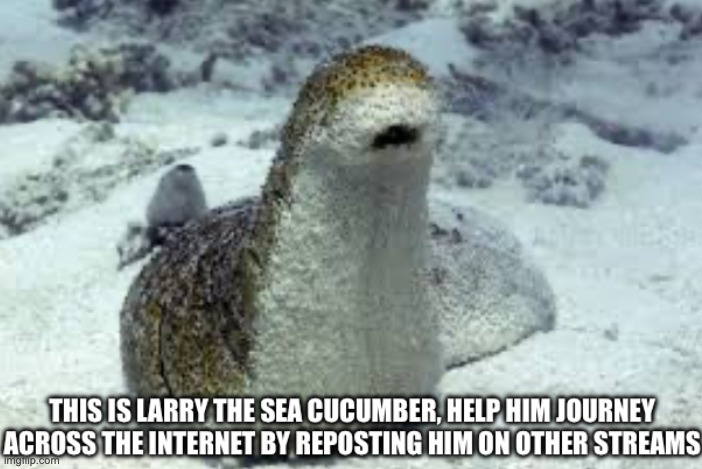 Larry the sea cucumber | image tagged in larry the sea cucumber | made w/ Imgflip meme maker