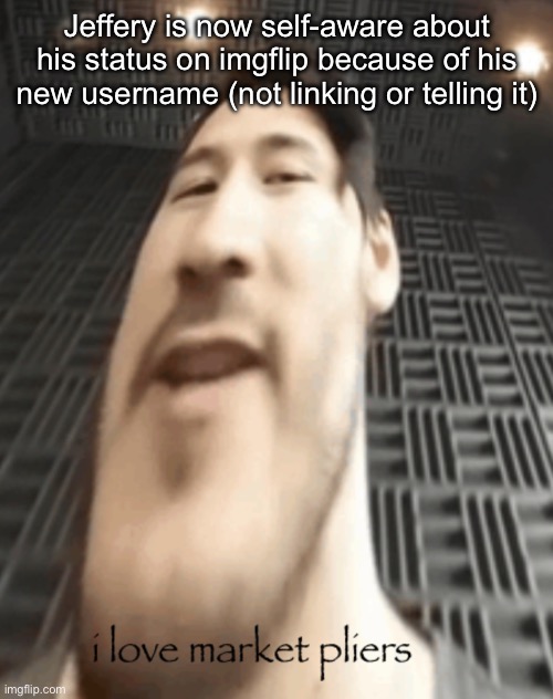 market pliers | Jeffery is now self-aware about his status on imgflip because of his new username (not linking or telling it) | image tagged in market pliers | made w/ Imgflip meme maker
