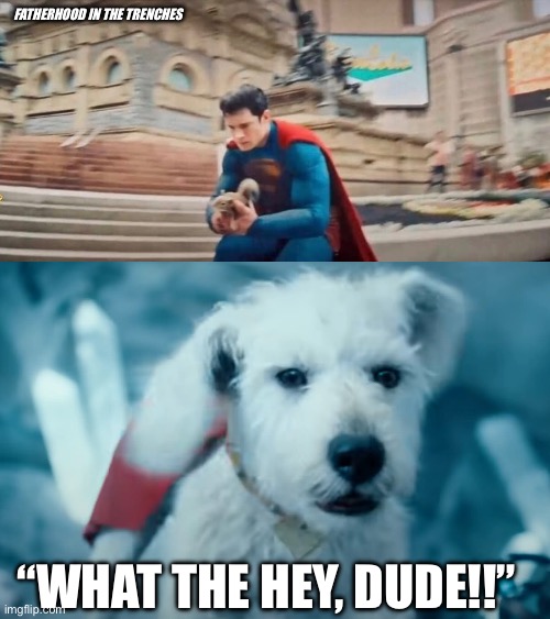 What the Hey!! | FATHERHOOD IN THE TRENCHES; “WHAT THE HEY, DUDE!!” | image tagged in superman,krypto | made w/ Imgflip meme maker