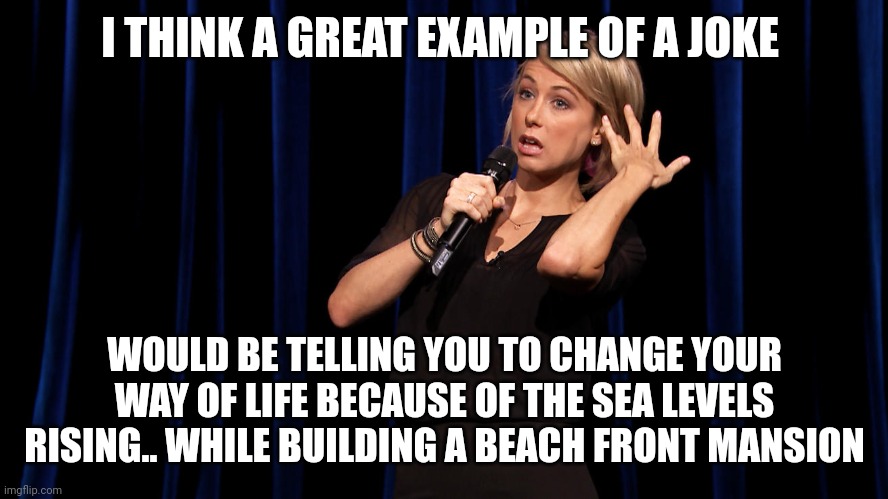 Comedian Hair Flip | I THINK A GREAT EXAMPLE OF A JOKE; WOULD BE TELLING YOU TO CHANGE YOUR WAY OF LIFE BECAUSE OF THE SEA LEVELS RISING.. WHILE BUILDING A BEACH FRONT MANSION | image tagged in comedian hair flip | made w/ Imgflip meme maker