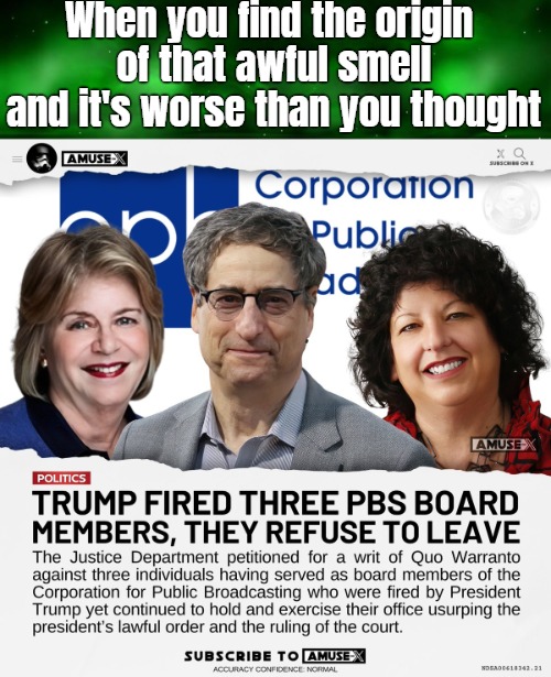 Yeah that's a radical activist thing. How they reveal themselves in all their stalling procedures... | When you find the origin 
of that awful smell and it's worse than you thought | image tagged in biased media,american politics,donald trump | made w/ Imgflip meme maker
