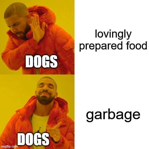 free epic Harissa | lovingly prepared food; DOGS; garbage; DOGS | image tagged in memes,drake hotline bling | made w/ Imgflip meme maker