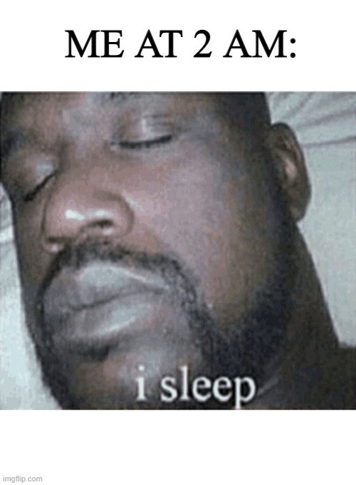 completely boring humor | ME AT 2 AM: | image tagged in i sleep real shit,sleeping shaq | made w/ Imgflip meme maker
