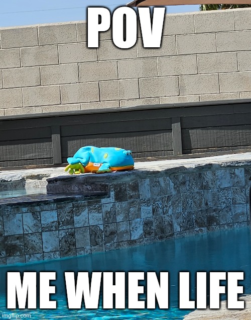 Fr bro | POV; ME WHEN LIFE | image tagged in real,depression,frog,pool | made w/ Imgflip meme maker