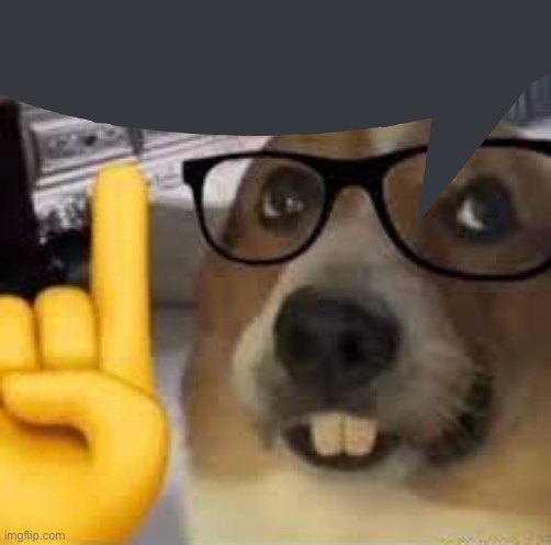 nerd dog | image tagged in nerd dog | made w/ Imgflip meme maker