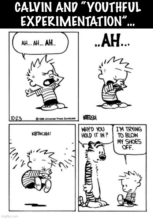 It was worth a try… | CALVIN AND “YOUTHFUL EXPERIMENTATION”… | image tagged in calvin and hobbes,comics,sneezing | made w/ Imgflip meme maker