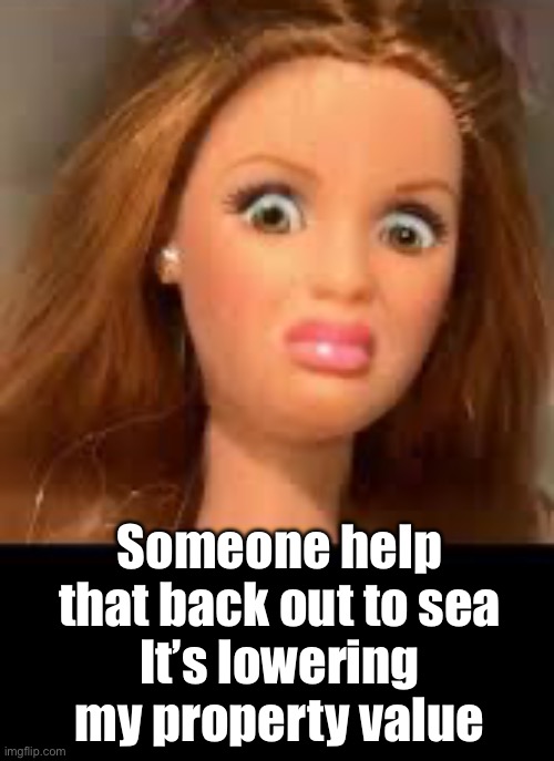 Someone help that back out to sea
It’s lowering my property value | made w/ Imgflip meme maker