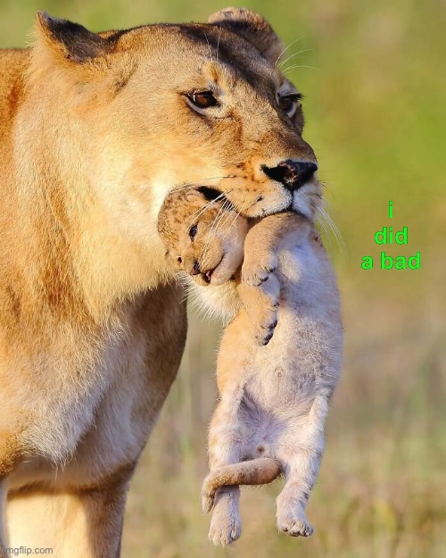 i did a bad | made w/ Imgflip meme maker