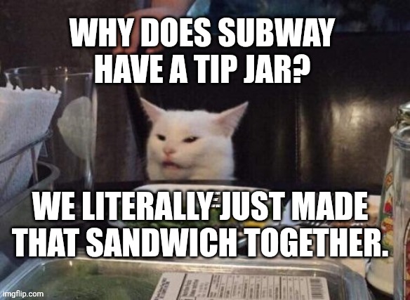 Smudge that darn cat | WHY DOES SUBWAY HAVE A TIP JAR? WE LITERALLY JUST MADE THAT SANDWICH TOGETHER. | image tagged in smudge that darn cat | made w/ Imgflip meme maker