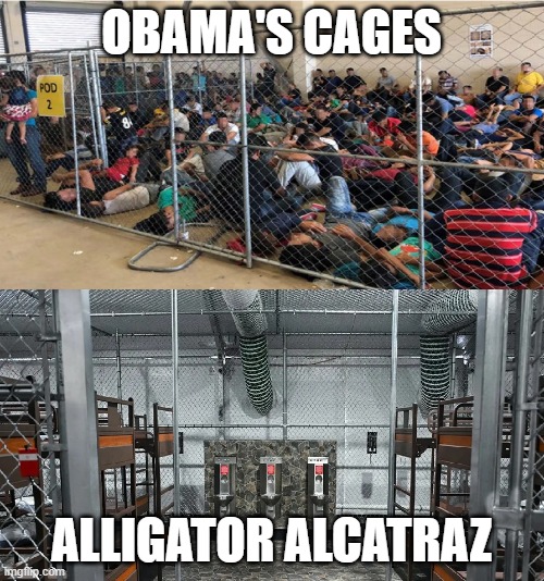 Who's the fascist tyrant again? | OBAMA'S CAGES; ALLIGATOR ALCATRAZ | image tagged in alligator alcatraz,memes,humane | made w/ Imgflip meme maker