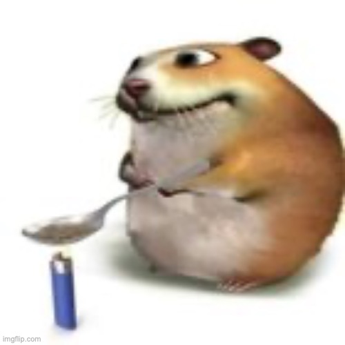 I'M DYING WHY AM I LAUGHING SO HARD AT THIS | image tagged in hampter | made w/ Imgflip meme maker
