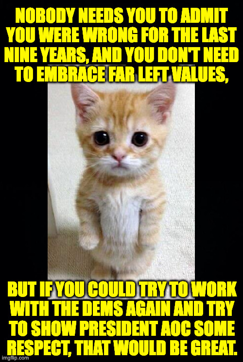 We'll get through this together and be all the stronger for it. | NOBODY NEEDS YOU TO ADMIT
YOU WERE WRONG FOR THE LAST
NINE YEARS, AND YOU DON'T NEED
TO EMBRACE FAR LEFT VALUES, BUT IF YOU COULD TRY TO WORK
WITH THE DEMS AGAIN AND TRY
TO SHOW PRESIDENT AOC SOME
RESPECT, THAT WOULD BE GREAT. | image tagged in memes,cute cat mediator | made w/ Imgflip meme maker