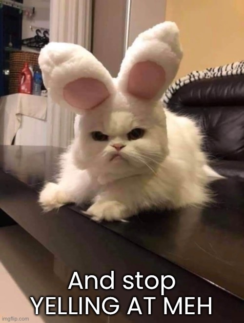 And stop YELLING AT MEH | made w/ Imgflip meme maker