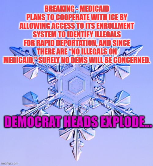 Special snowflake | BREAKING - MEDICAID PLANS TO COOPERATE WITH ICE BY ALLOWING ACCESS TO ITS ENROLLMENT SYSTEM TO IDENTIFY ILLEGALS FOR RAPID DEPORTATION, AND SINCE THERE ARE “NO ILLEGALS ON MEDICAID,” SURELY NO DEMS WILL BE CONCERNED. DEMOCRAT HEADS EXPLODE... | image tagged in special snowflake | made w/ Imgflip meme maker