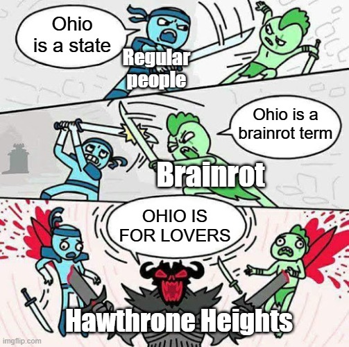 BECAUSE MY HEART IS N OHIO | Ohio is a state; Regular people; Ohio is a brainrot term; Brainrot; OHIO IS FOR LOVERS; Hawthrone Heights | image tagged in sword fight,ohio,brainrot,memes,emo kid | made w/ Imgflip meme maker
