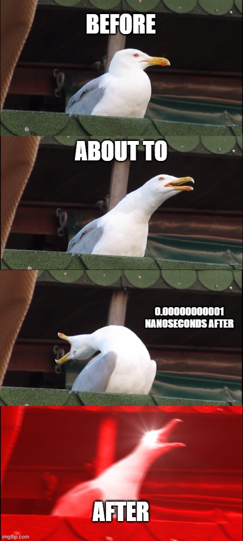 Inhaling Seagull Meme | BEFORE ABOUT TO 0.00000000001 NANOSECONDS AFTER AFTER | image tagged in memes,inhaling seagull | made w/ Imgflip meme maker