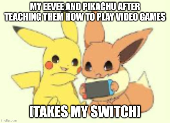 pikachu and eevee | MY EEVEE AND PIKACHU AFTER TEACHING THEM HOW TO PLAY VIDEO GAMES; [TAKES MY SWITCH] | image tagged in pikachu and eevee | made w/ Imgflip meme maker