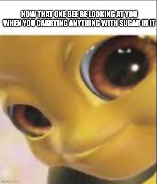 This is a unfunny meme don’t click on this yall | HOW THAT ONE BEE BE LOOKING AT YOU WHEN YOU CARRYING ANYTHING WITH SUGAR IN IT | image tagged in bee looking,weird,haha,bees,cringe,funny | made w/ Imgflip meme maker