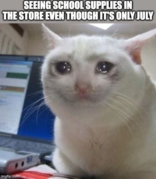 sad | SEEING SCHOOL SUPPLIES IN THE STORE EVEN THOUGH IT'S ONLY JULY | image tagged in crying cat | made w/ Imgflip meme maker