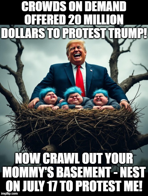 Who is causing hate? Obviously, Democrats! | CROWDS ON DEMAND OFFERED 20 MILLION DOLLARS TO PROTEST TRUMP! NOW CRAWL OUT YOUR MOMMY'S BASEMENT - NEST ON JULY 17 TO PROTEST ME! | image tagged in captain obvious- you don't say | made w/ Imgflip meme maker