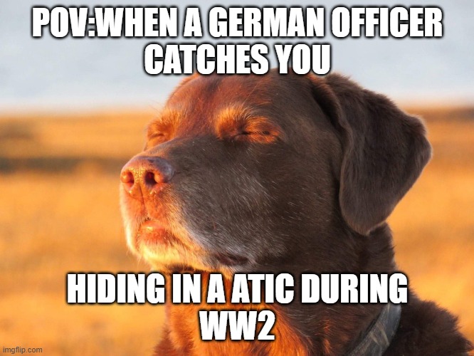 cooked in Germany ww2 | POV:WHEN A GERMAN OFFICER
CATCHES YOU; HIDING IN A ATIC DURING
WW2 | image tagged in cooked dog | made w/ Imgflip meme maker