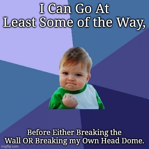 I Can Go At Least Some of the Way, Before Either Breaking the Wall OR Breaking my Own Head Dome. | image tagged in memes,success kid | made w/ Imgflip meme maker
