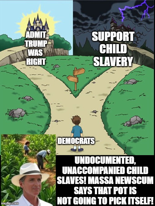 Massa Newscum says! That pot is not going to pick itself!! | UNDOCUMENTED, UNACCOMPANIED CHILD SLAVES! MASSA NEWSCUM SAYS THAT POT IS NOT GOING TO PICK ITSELF! | image tagged in slavery | made w/ Imgflip meme maker